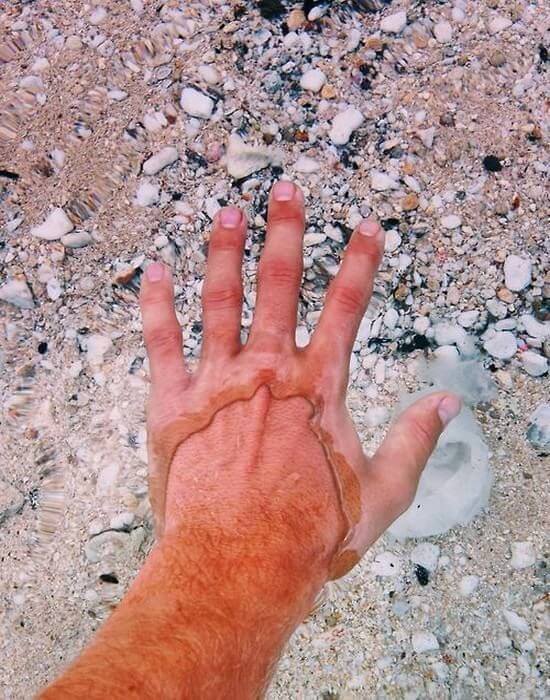 This is how it looks when you put your hand in the ultra-clear water of Flathead Lake.