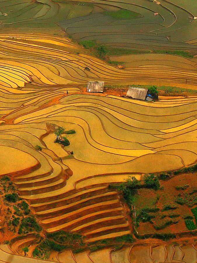 Y Ty Terrace Field, Vietnam