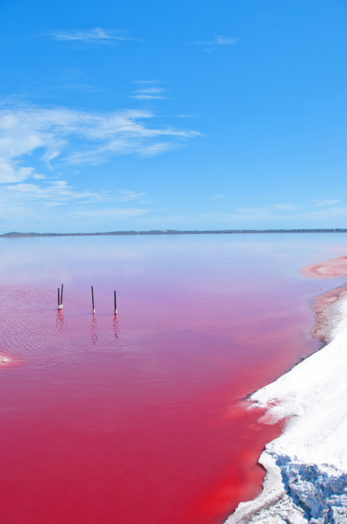 Pink Lake, Western Australia
