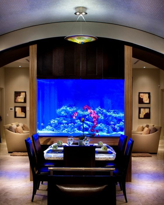 Check out these amazing ideas with aquarium.