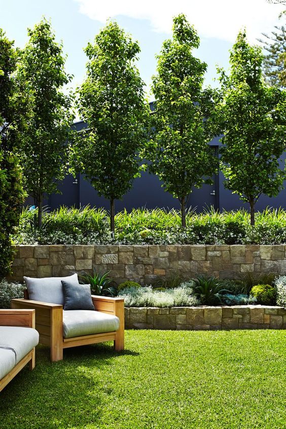 Check out these amazing living fences for your backyard.