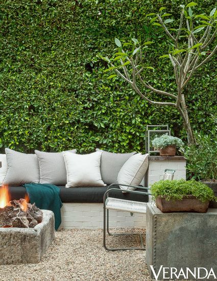 Check out these amazing living fences for your backyard.